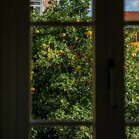 Apartment Sunny In The Heart Of Principe Real *